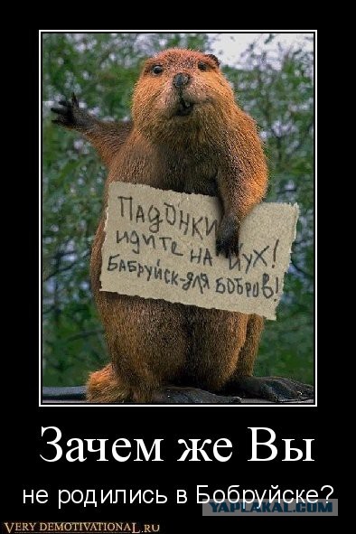 Чужие здесь не ходят