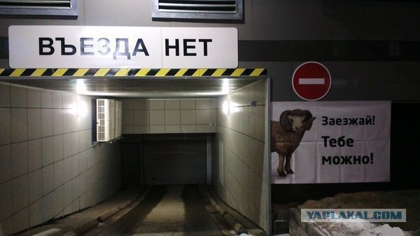 Автоюмор