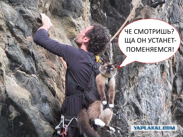 Подборка интересных и веселых картинок