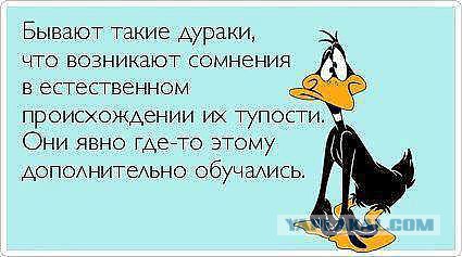 Феерически умная девушка из МИФИ