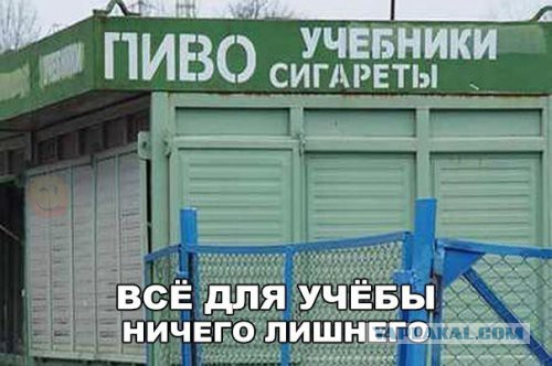 Смешные комментарии из социальных сетей 12.08.2016