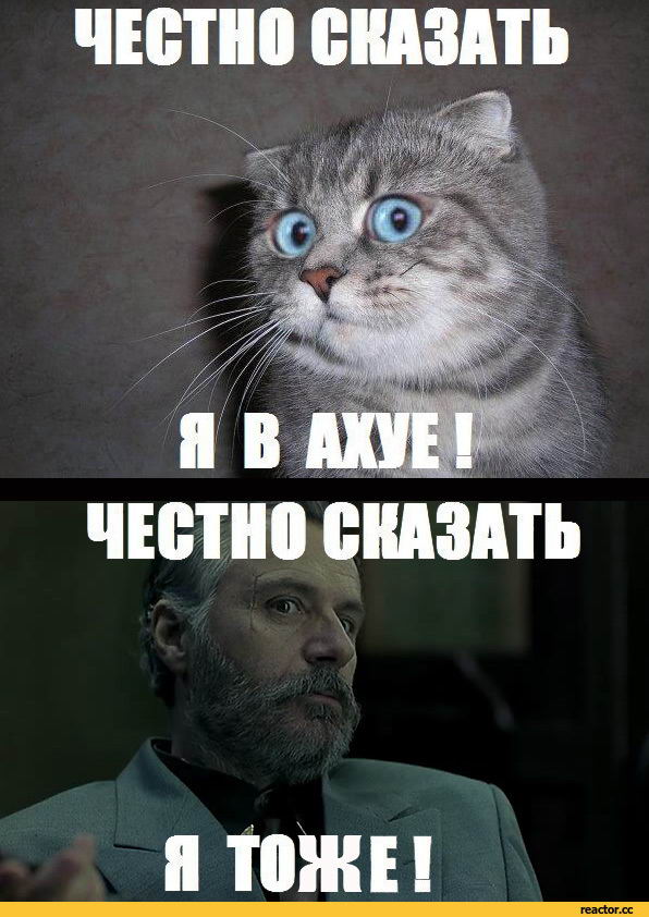 Мать 14 детей жалеет о карьере стриптизерши и порнозвезды