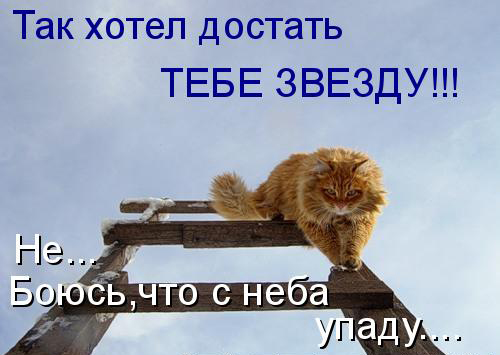 Картинки из ваших интернетов