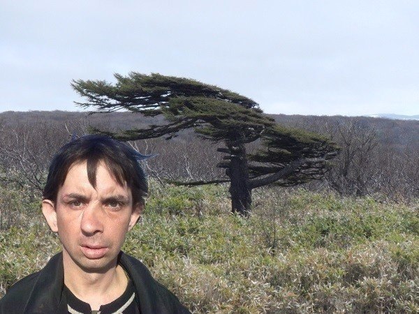 Подборка безудержного веселья