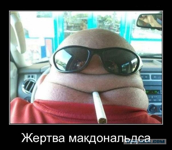 Подборка интересных и веселых картинок