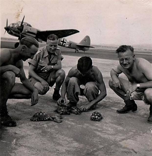 Фотографии к "Нахальному минированию" и "Лехе"