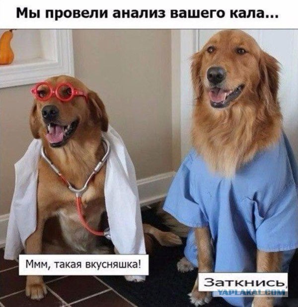 Слегка чёрный и циничный понедельник