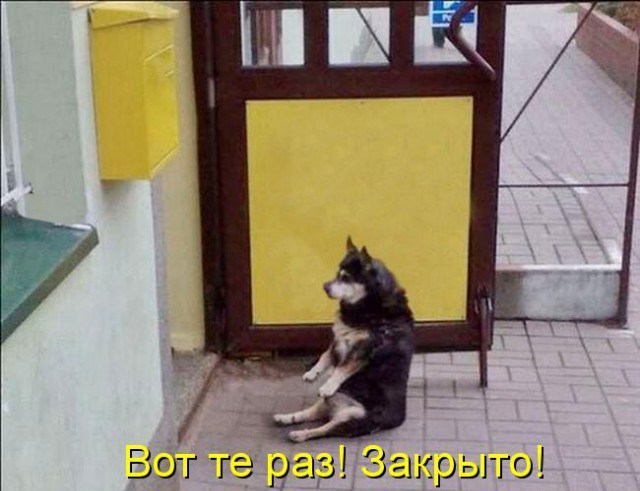 Подборка интересных и веселых картинок