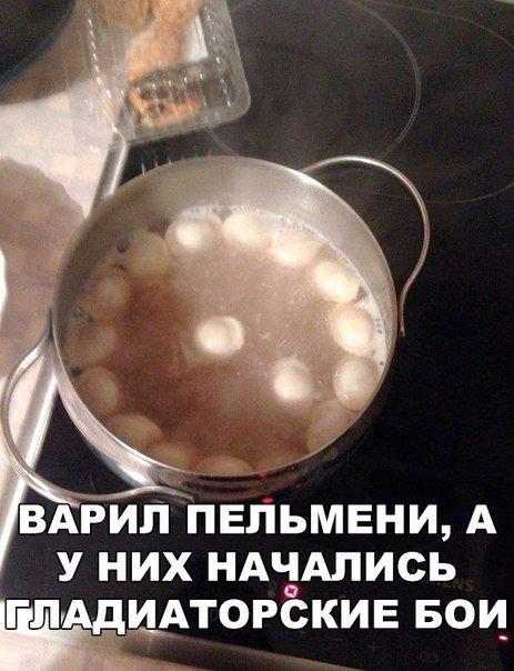 Прикольные картинки 04.07.2017.