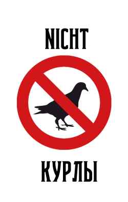 голубь курлык курлык. курлы курлы картинка. курлы. курлы мурлы. приколы про курлы.