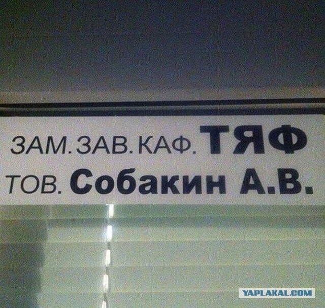 10 Человек, которым идеально подходят их фамилии