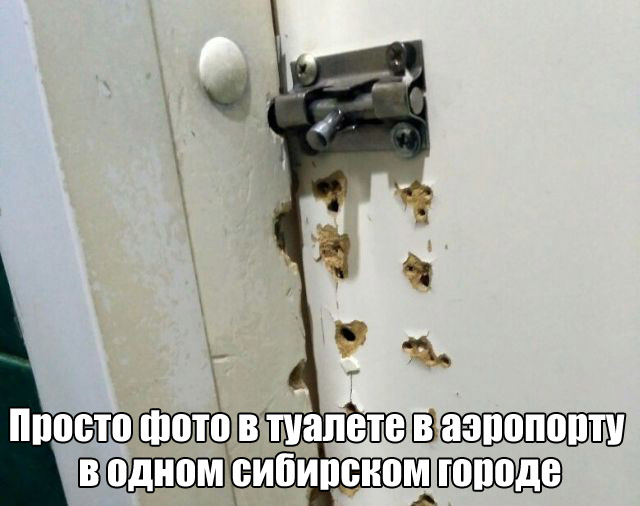 Подборка интересных и веселых картинок