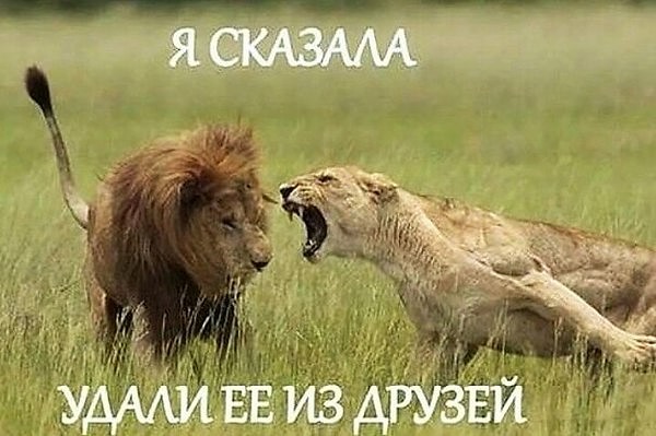 Четверг, это маленькая пятница! Картинки с подписями.