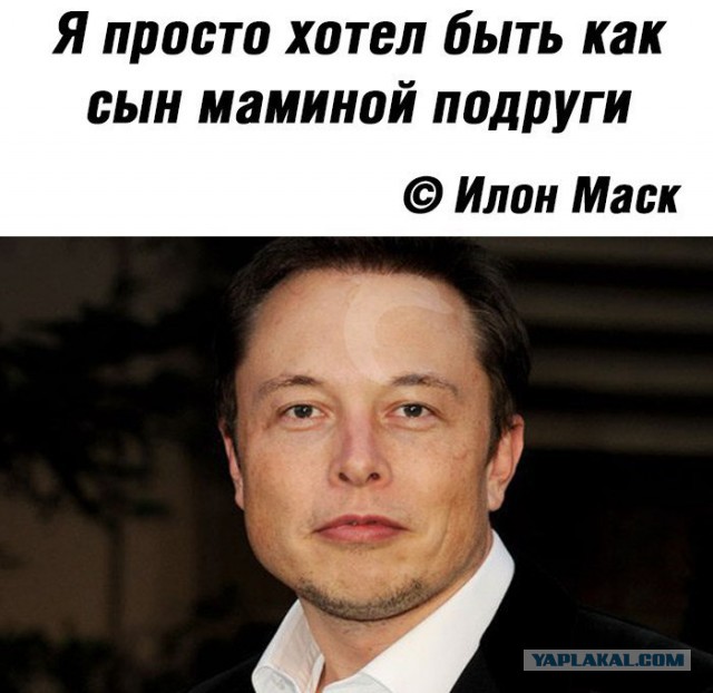 Солянка картинок на пятницу