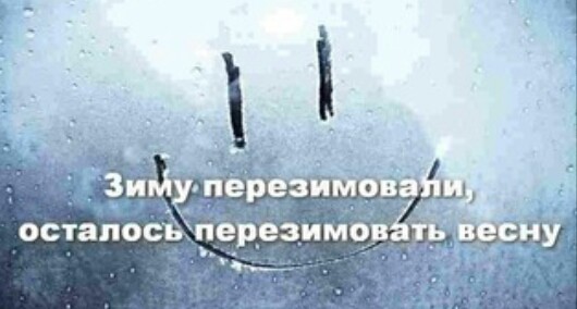 Вот и пришла весна!