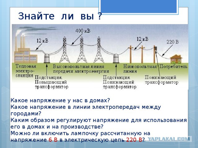 Фотографии, сделанные за секунды до смерти
