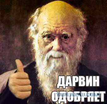 Пассажир метро в Москве погиб, пытаясь скатиться по перилам лестницы