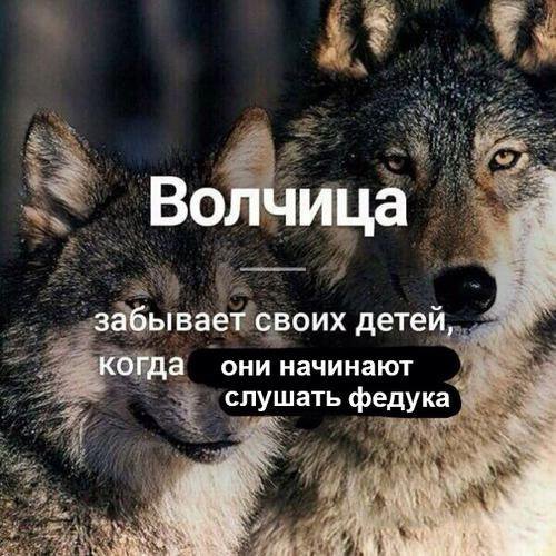 Лёгкая наркомания наступает на пятки