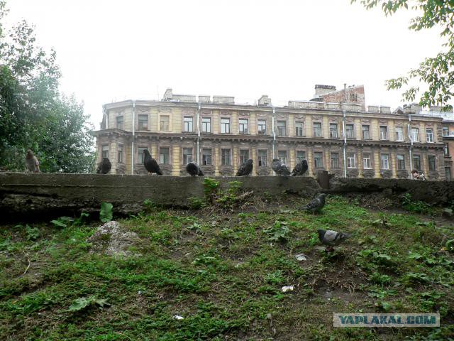 Памятник Виктору Цою появится в Петербурге