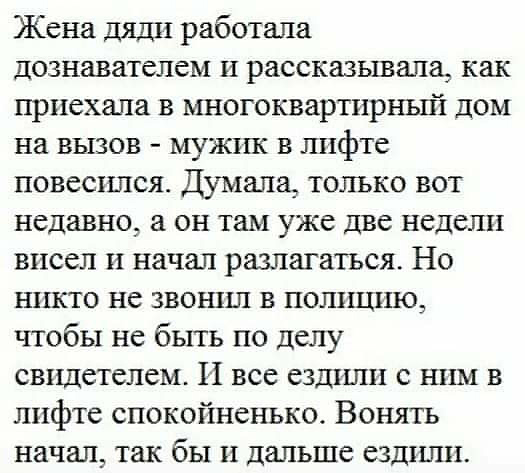 Блюдо дня