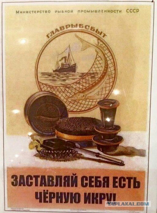Потребление черной икры в Москве превысило докризисное