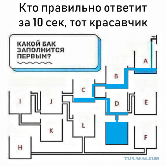 Анекдоты, соц-сети и картинки с надписями