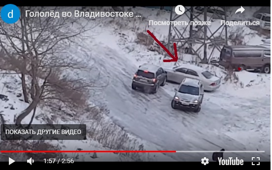 «Мыши плакали, кололись, но продолжали грызть кактус»