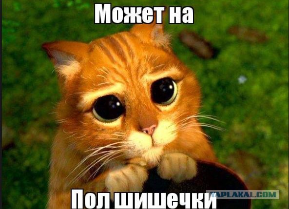 Пол-литра, полуфабрикат, полуправда и еще знаменитые полувещи.