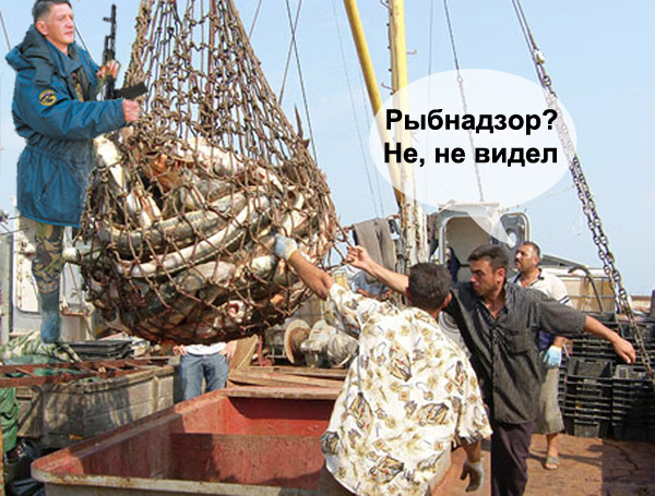 Конкурс на лучшую фотожабу против браконьеров.