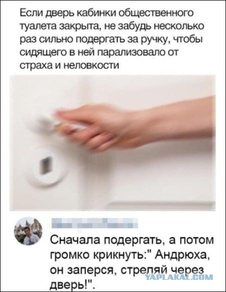 Чуток картинок 11.10.19