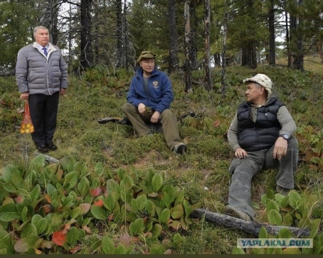 Жители Оренбурга пожаловались Путину на беспредел местных властей