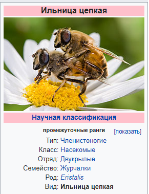 Деревенская Америка - 5
