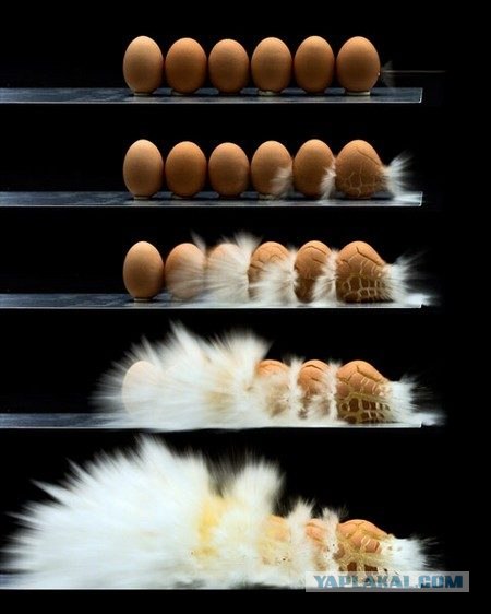 Фотокамера за 250 000$