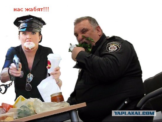 Фотожаба: Голодный охранник