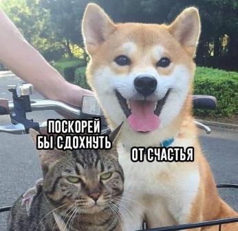 Чуток картинок 02.08.20
