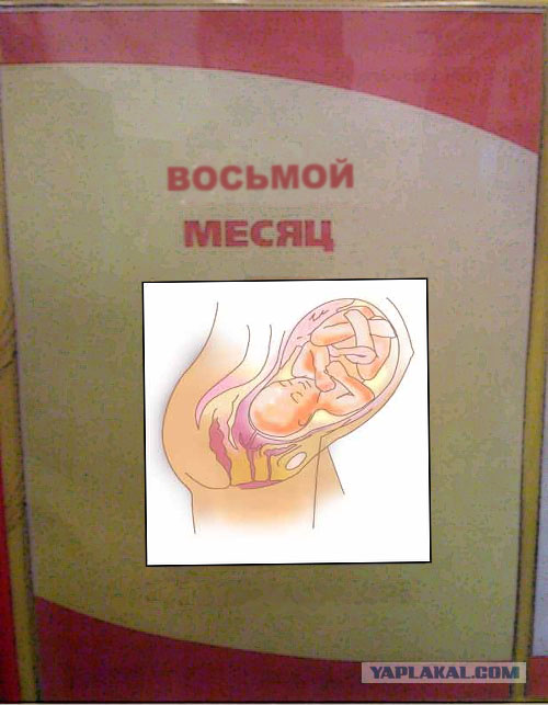 Фотожаба: Первое место по улыбкам!