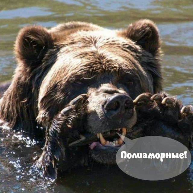 После 19 лет брака американец развелся с женой и завел двух полиаморных любовниц