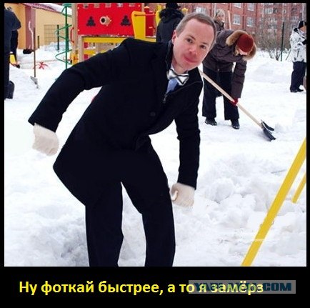 Показуха питерского чиновника