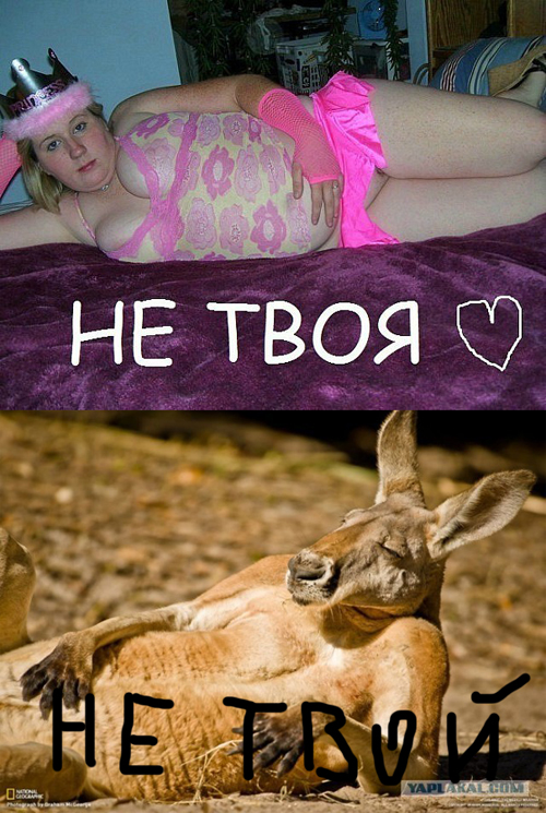 Фотожаба: И чего бы сейчас захотеть?