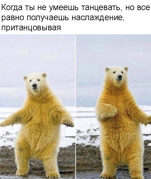 Весёлый полтишок 26.03