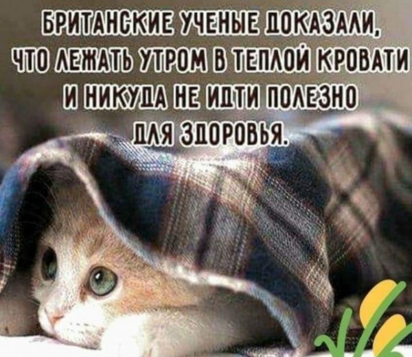 Насохранял