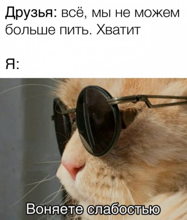 Картинки и мемы для настроения 30.04.21