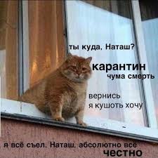 Картинки и мемы для настроения 28.06.2021