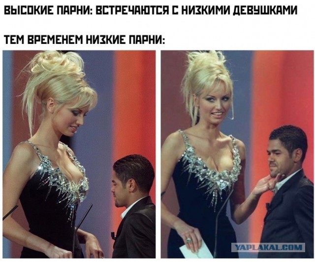 Картинки и мемы для настроения 28.07.2021