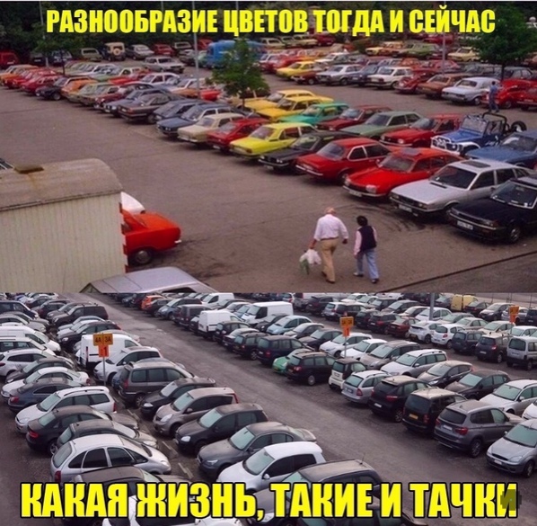 Так себе картинки 10.08.21