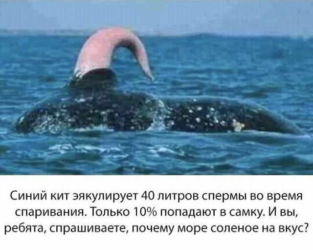 Картинки и мемы, всем прекрасных выходных