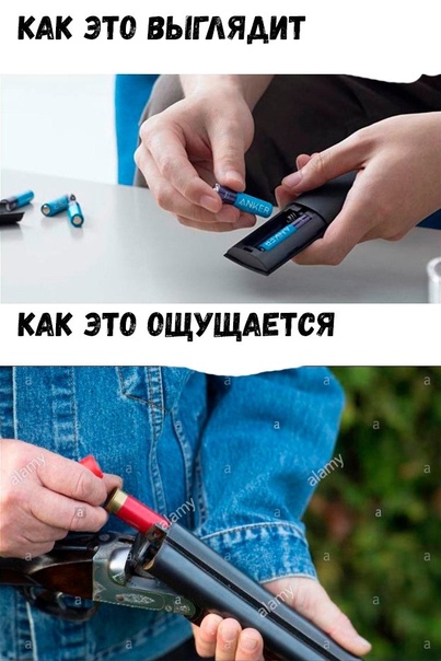 Весёлый полтишок 01.02
