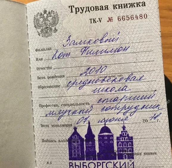 «Он хозяин, талисман острова». Пропал кот-хранитель Выборгского замка