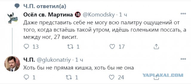 Так себе картинки 29.03.22