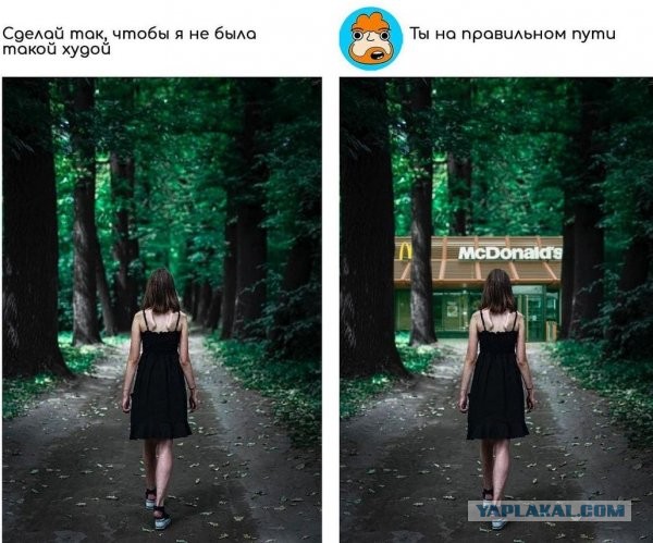 Забавные и веселые картинки
